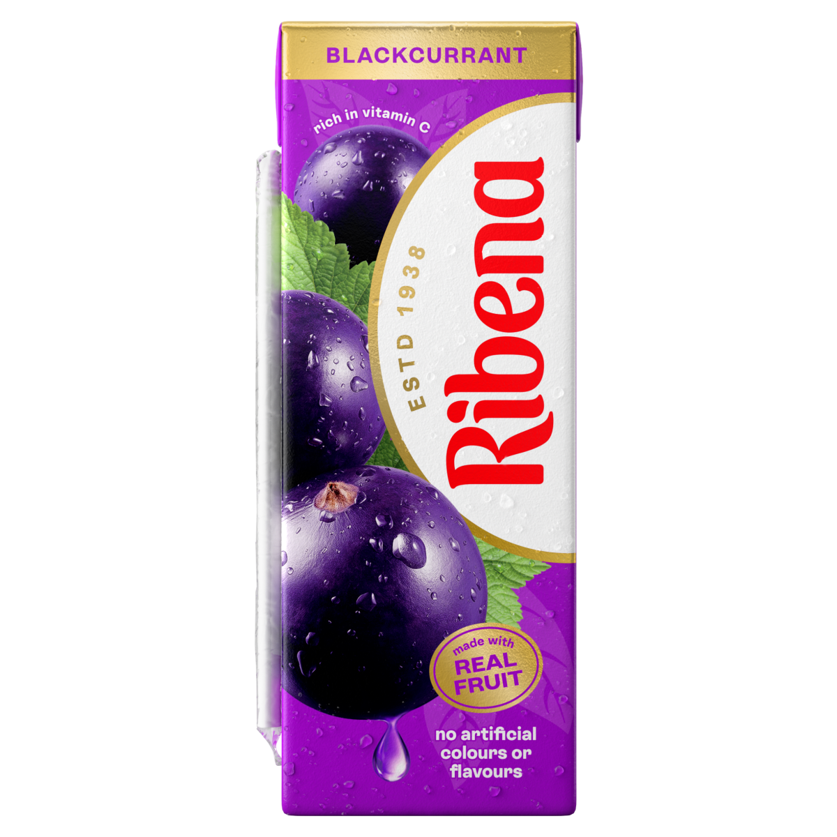 Ribena Blackcurrant Juice Drink Carton 250ml