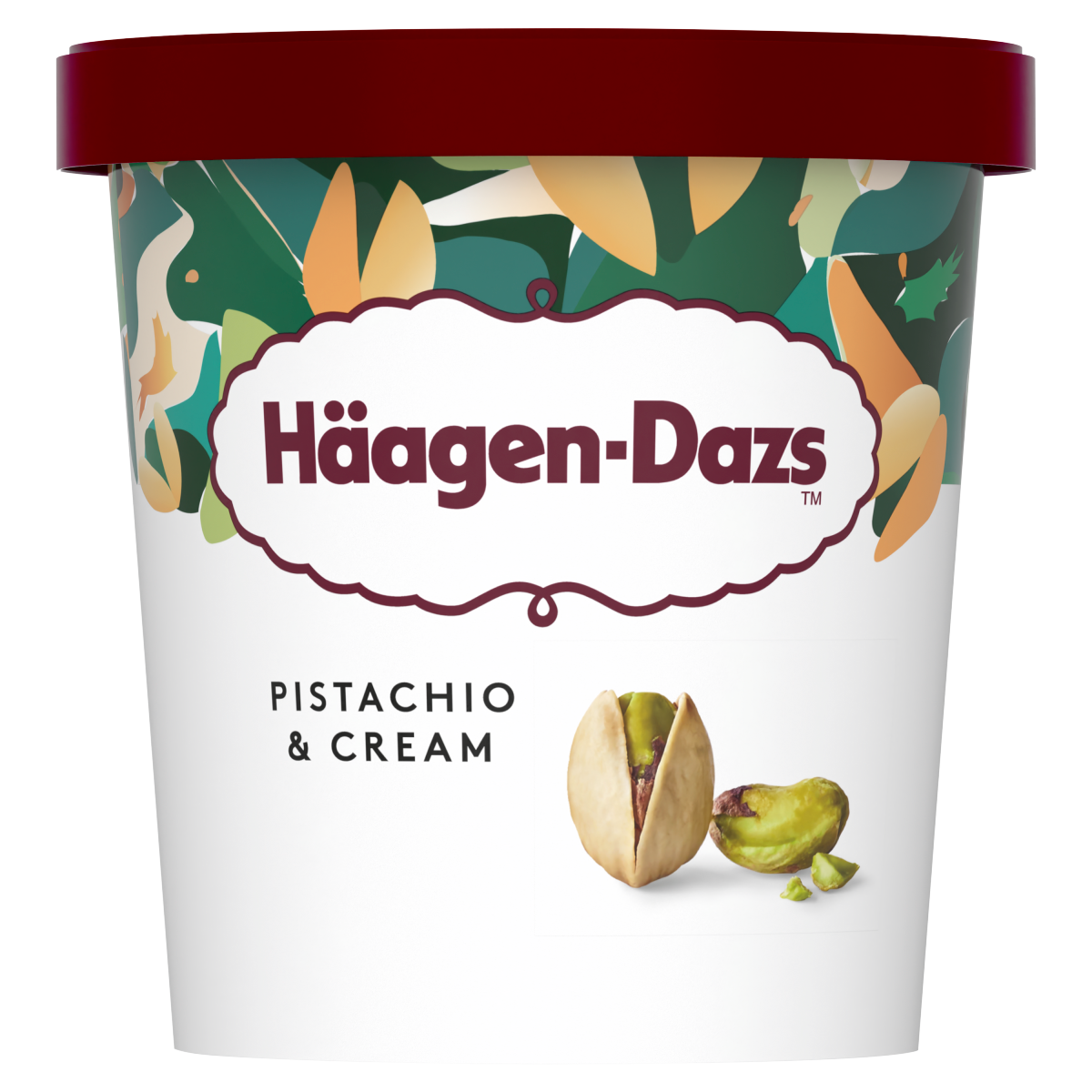 Häagen-Dazs Pistachio & Cream 347g