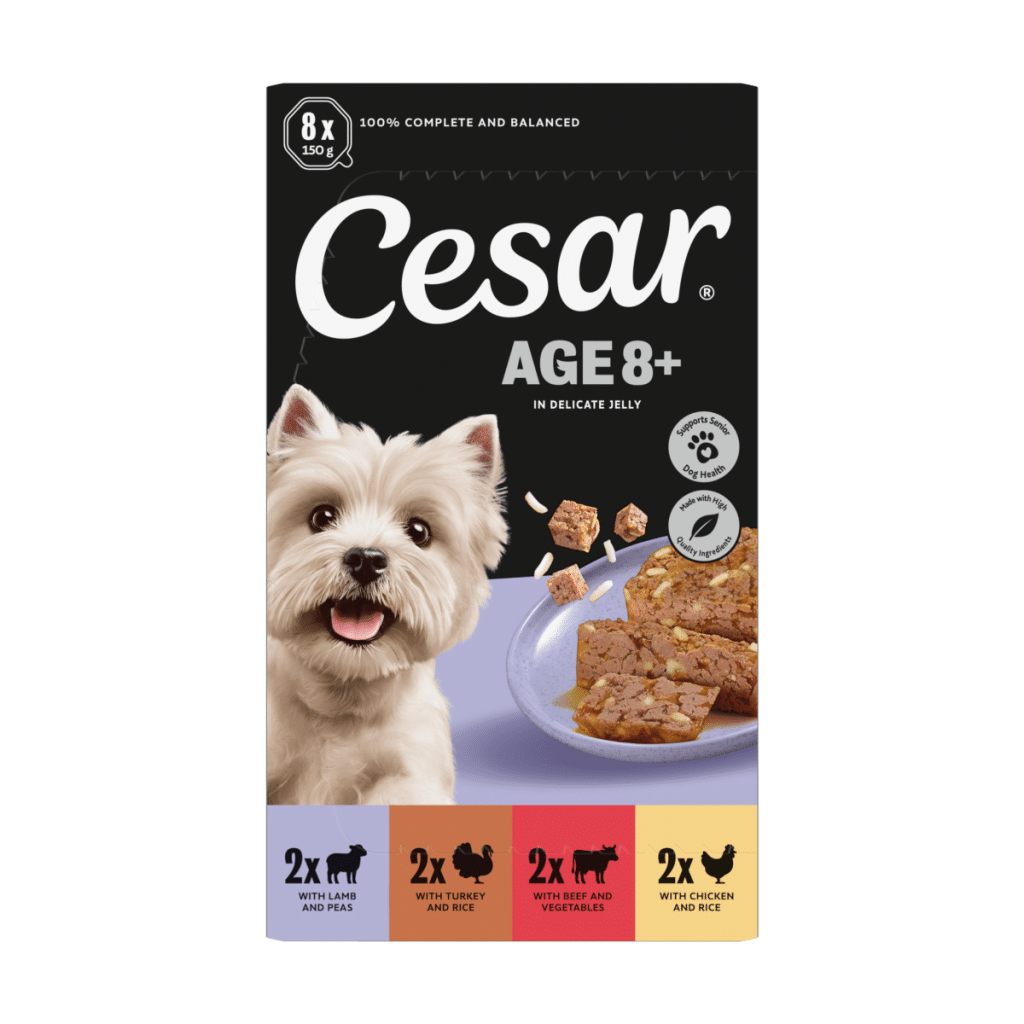 Cesar Age 8+Wet Dog Food Tray Poultry,Lamb,Beef Chunks in Jelly 8 x150g