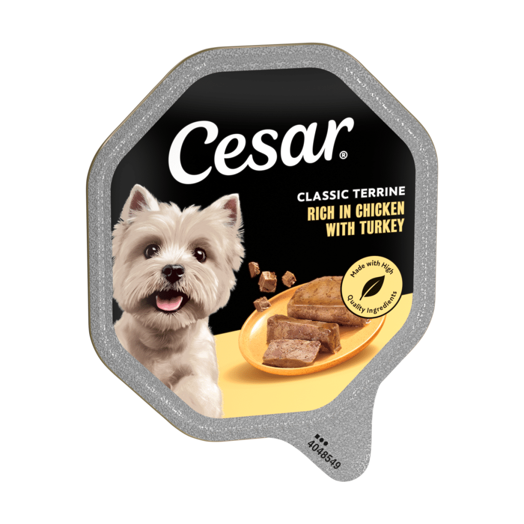Cesar Classic Terrine Wet Dog Food tray Chicken & Turkey in Loaf 150g