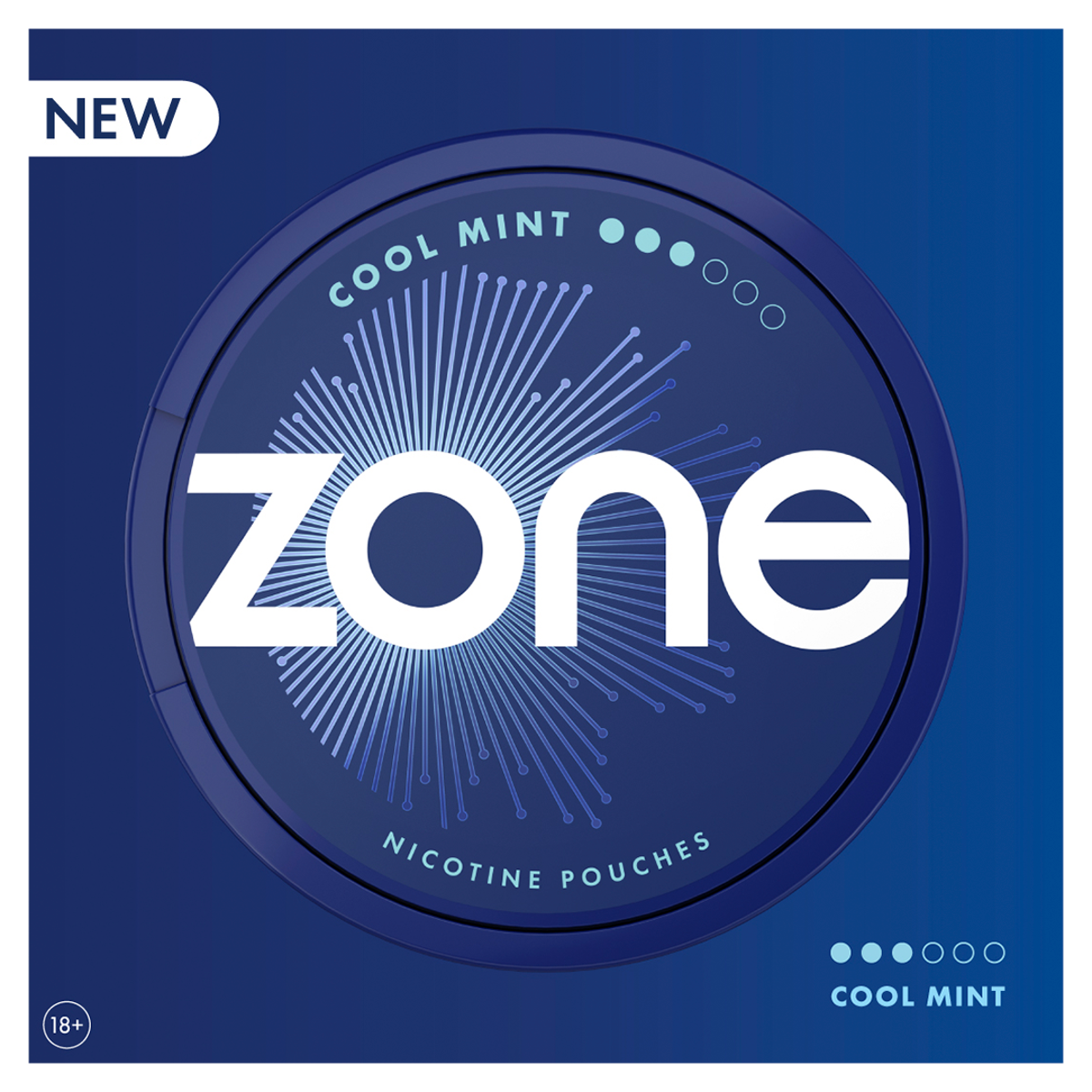 Zone Cool Mint Nicotine Pouches 10mg
