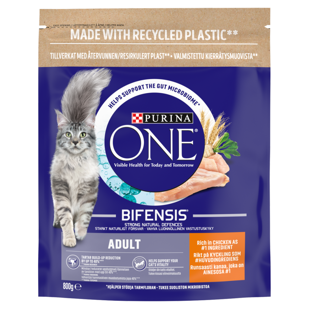 PURINA ONE Chicken Dry Cat Food 800g