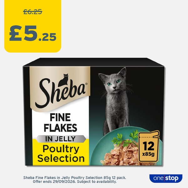 P8A – Sheba