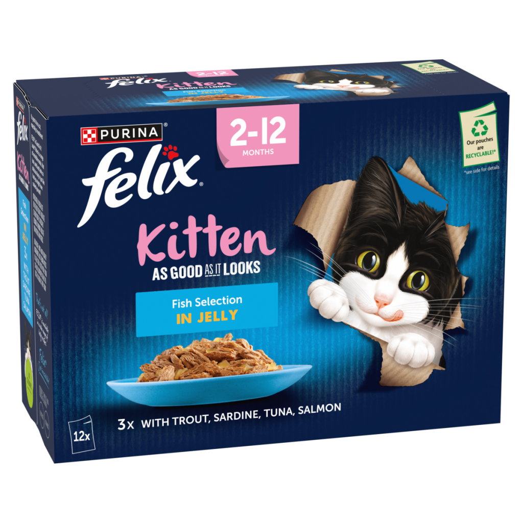 FELIX As Good As it Looks Kitten Fish in Jelly Wet Cat Food 12x85g