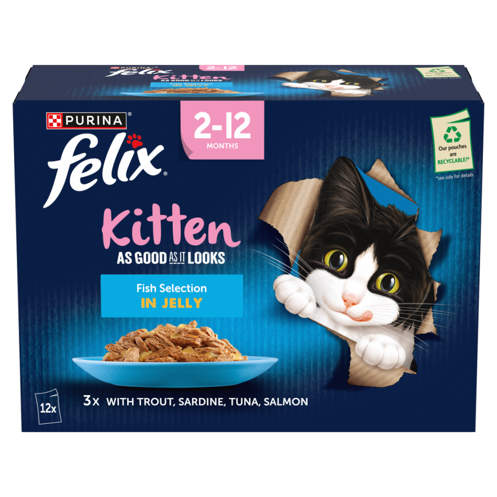 FELIX As Good As it Looks Kitten Fish in Jelly Wet Cat Food 12x85g
