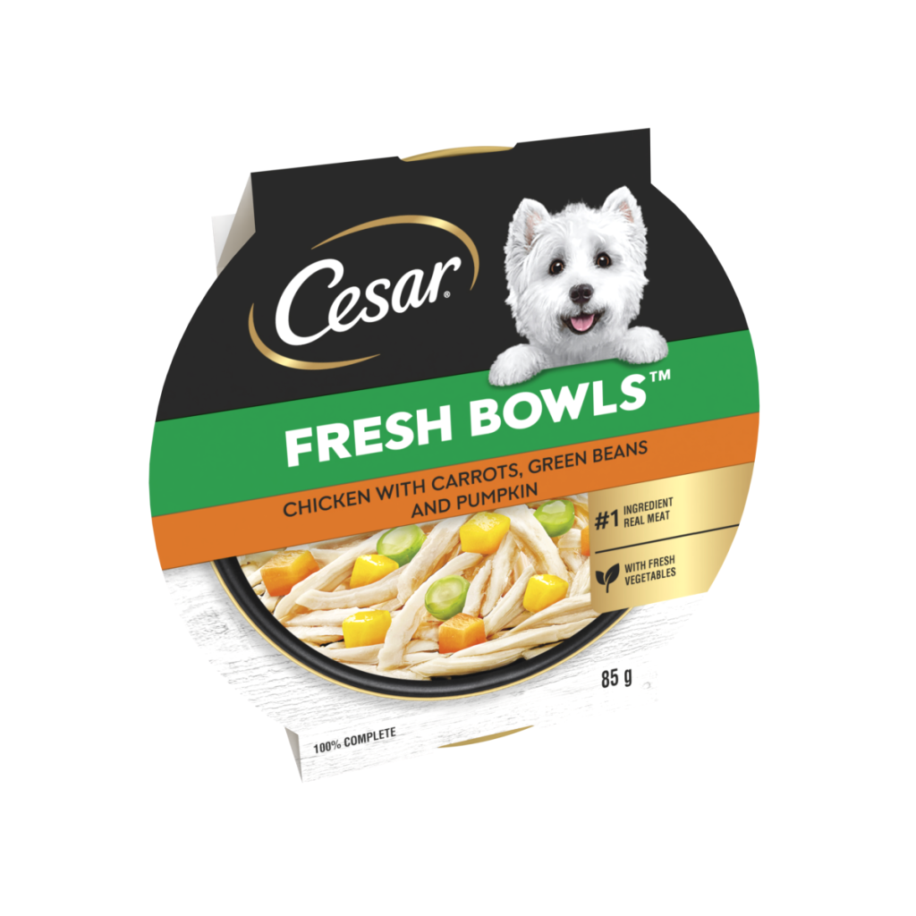 CESAR® Fresh Bowl Adult Wet Dog Food with Chicken in Gravy 85g