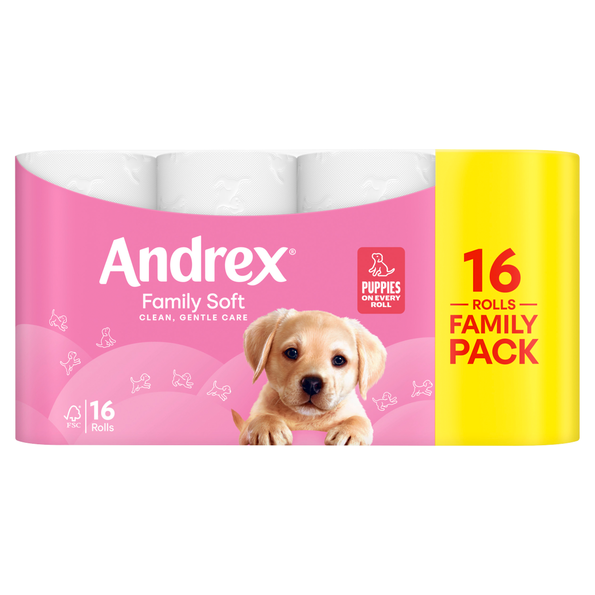 Andrex Family Soft Toilet Tissue Standard Rolls, 16 Rolls, 170 sheets