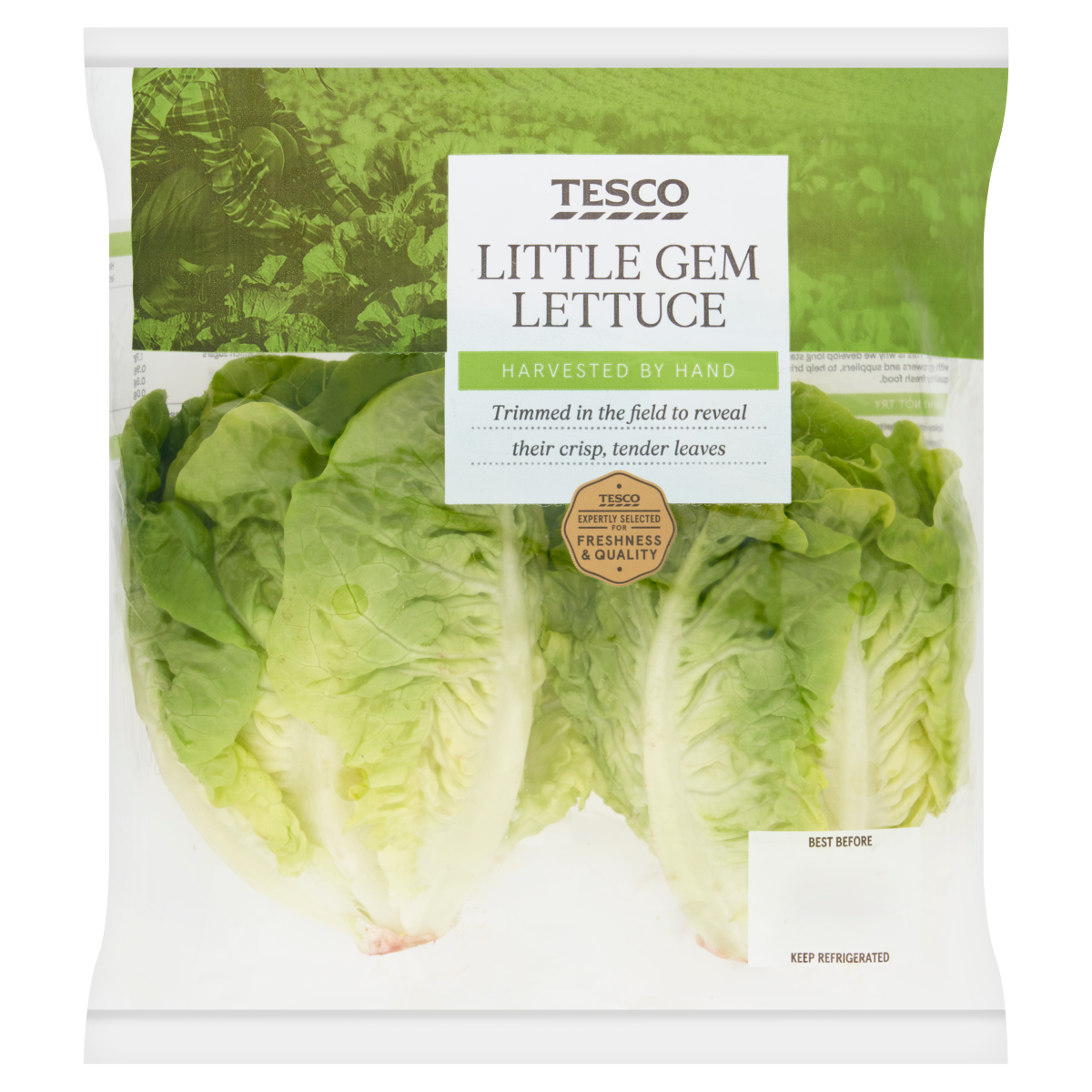 Tesco Irish Little Gem Lettuce