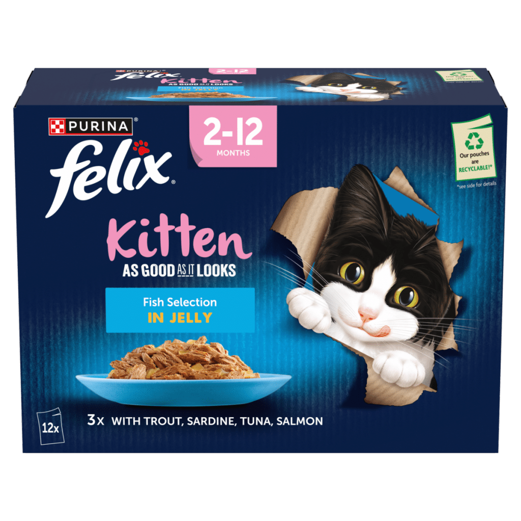 FELIX As Good As it Looks Kitten Fish in Jelly Wet Cat Food 12x85g
