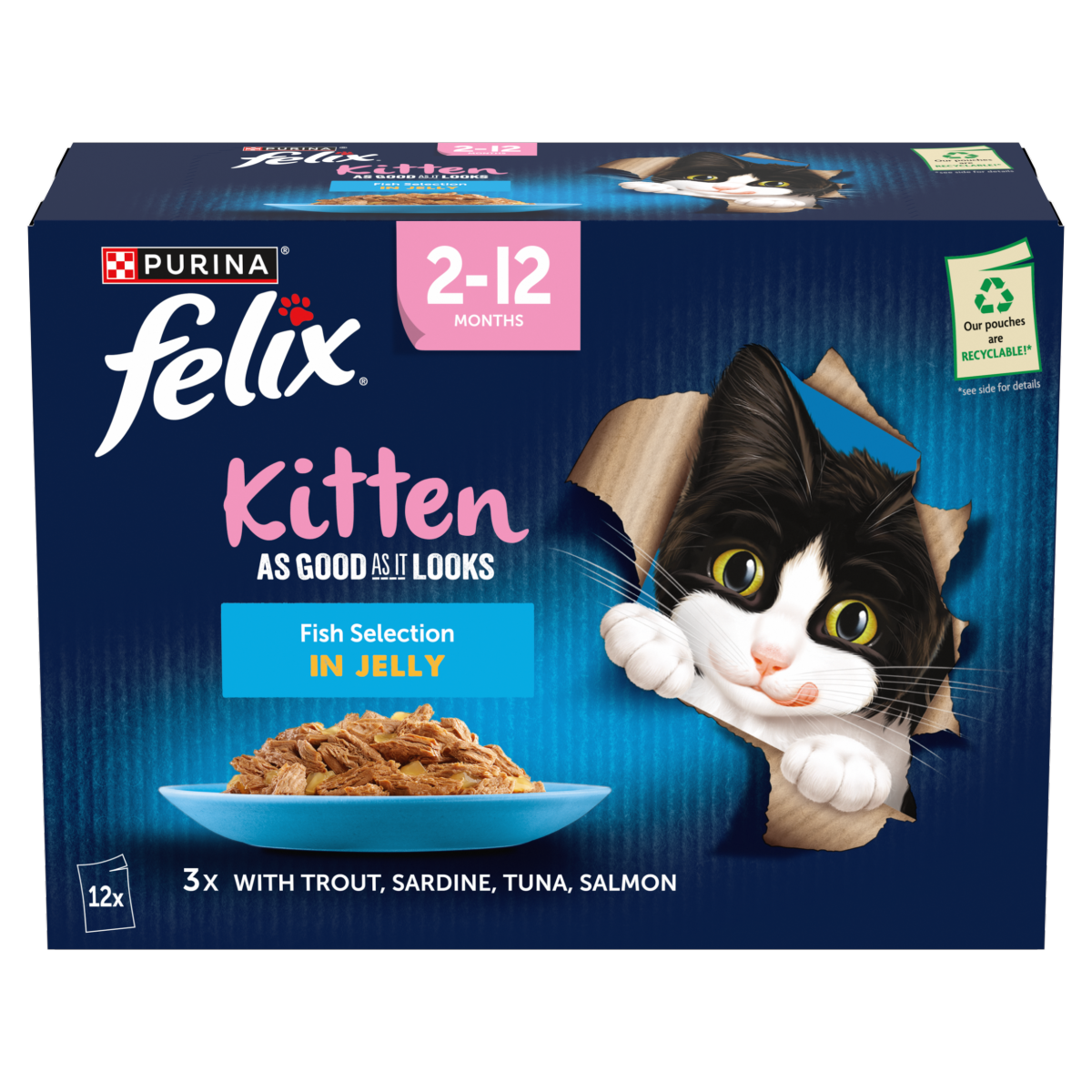 FELIX As Good As it Looks Kitten Fish in Jelly Wet Cat Food 12x85g