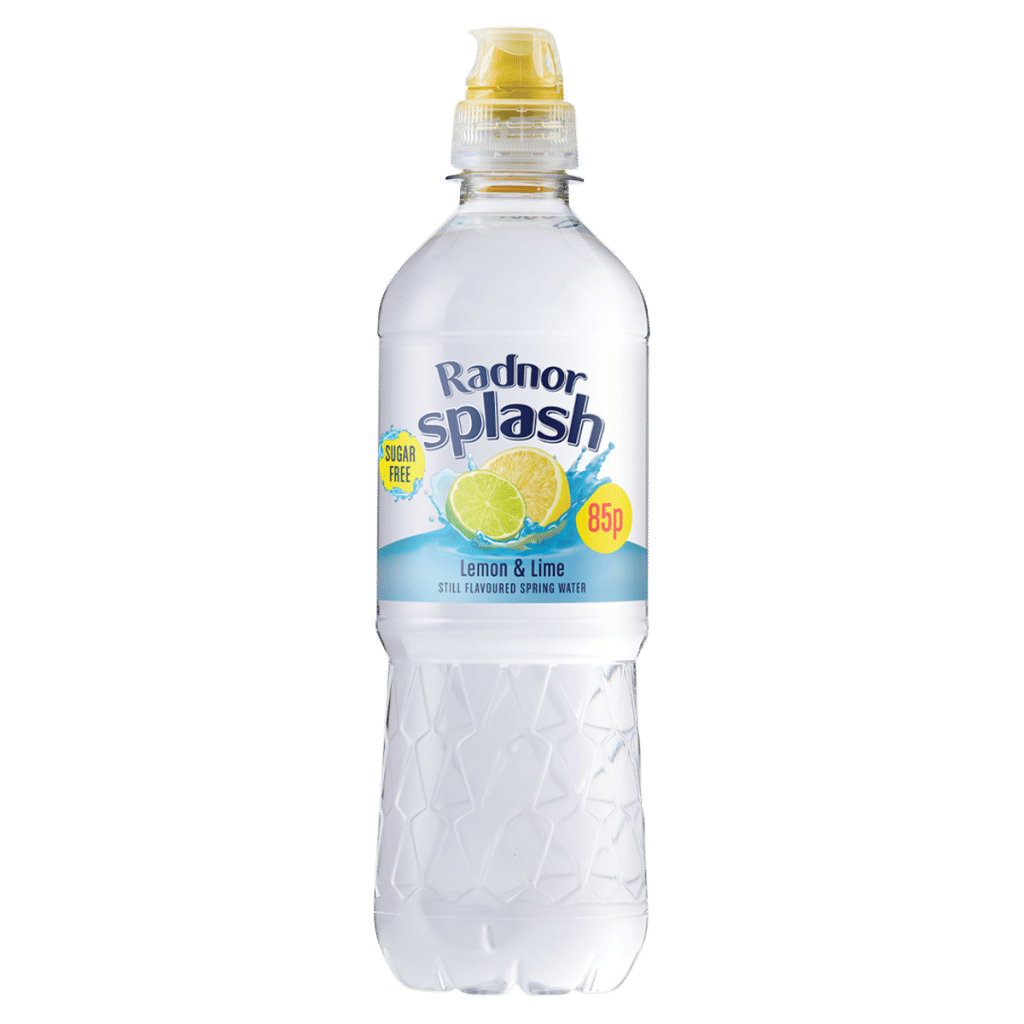 Radnor Splash Lemon & Lime Still Flavoured Spring Water 500ml