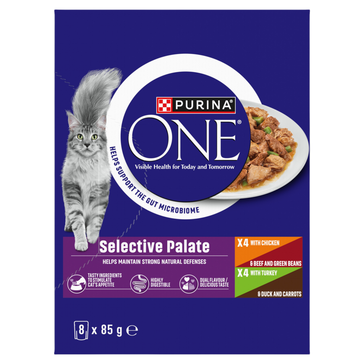PURINA ONE Selective Palate Mini Filets in Gravy (Chicken, Beef, Turkey & Duck) Wet Cat Food 8x85g