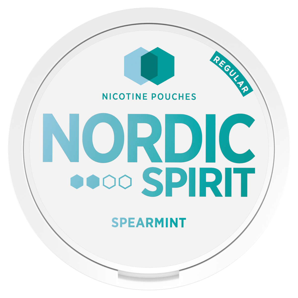 Nordic Spirit Regular Nicotine Pouches Spearmint 6mg