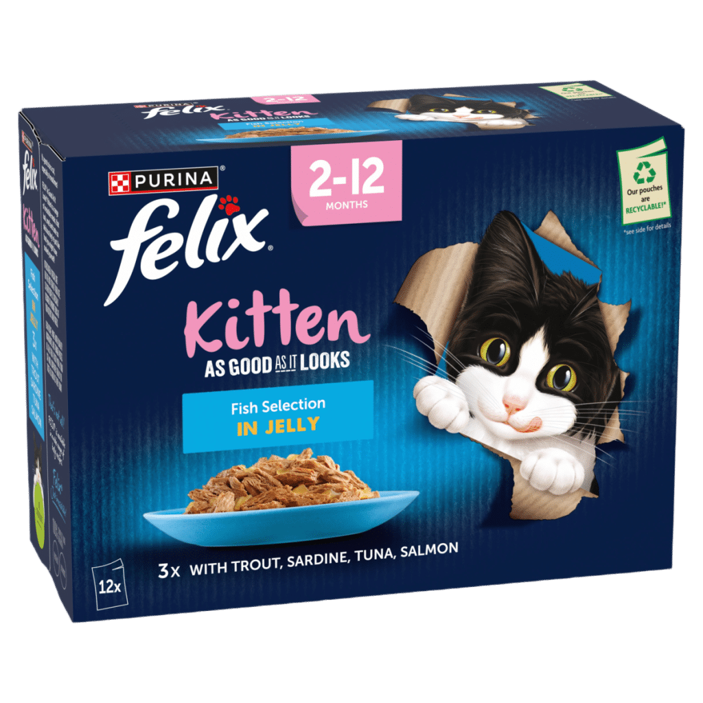 FELIX As Good As it Looks Kitten Fish in Jelly Wet Cat Food 12x85g