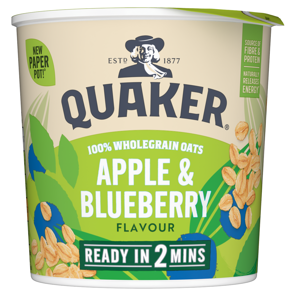 Quaker Oat So Simple Apple & Blueberry Porridge Pot 57g