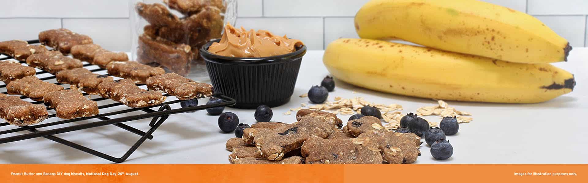 DIY Dog Treat Recipe: Peanut Butter and Banana Biscuits