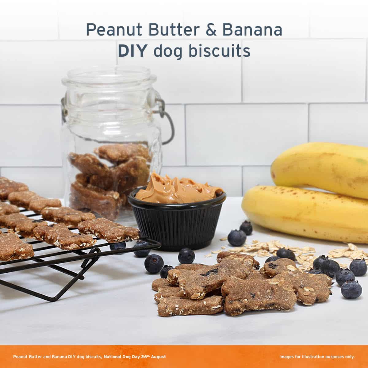 DIY Dog Treat Recipe: Peanut Butter and Banana Biscuits