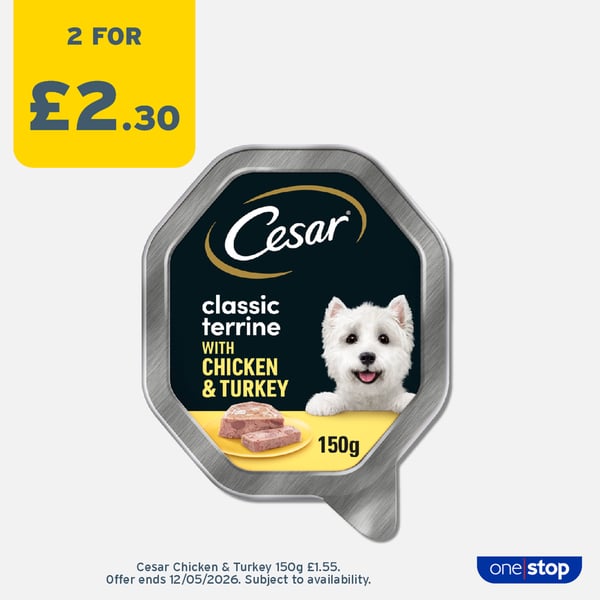 P3A – Cesar