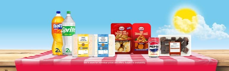 Summer 2025-Picnic Web Banner