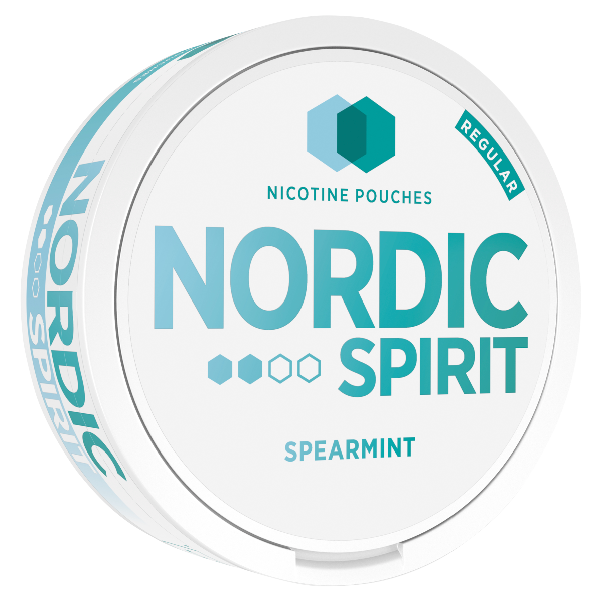 Nordic Spirit Regular Nicotine Pouches Spearmint 6mg