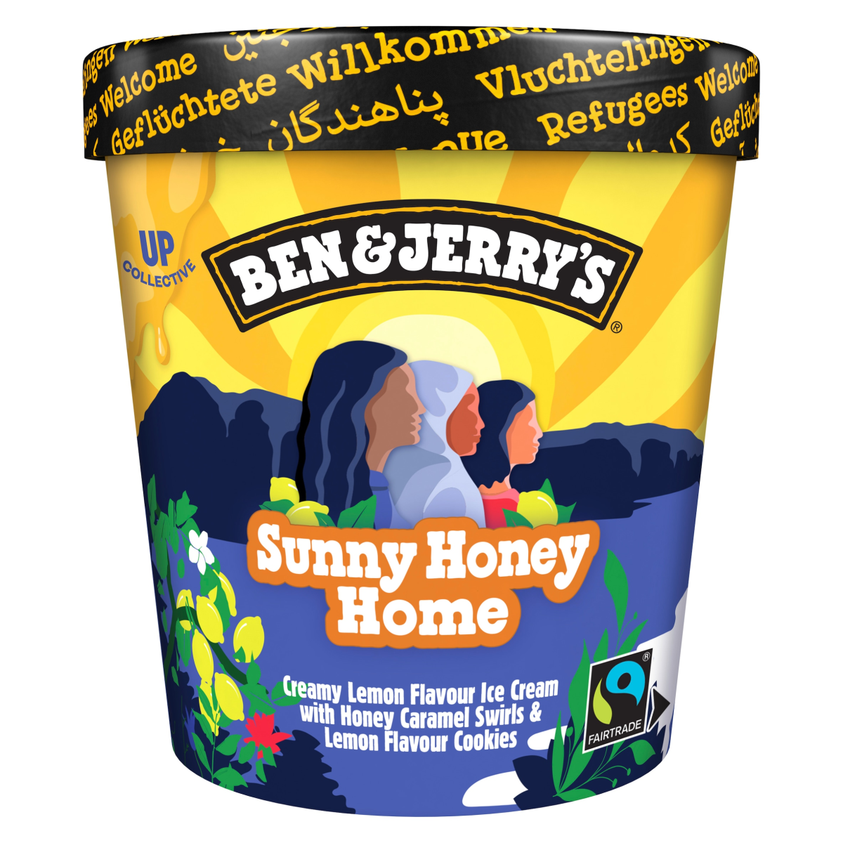 Ben & Jerry’s Sunny Honey Home Ice Cream Dessert 465 ML