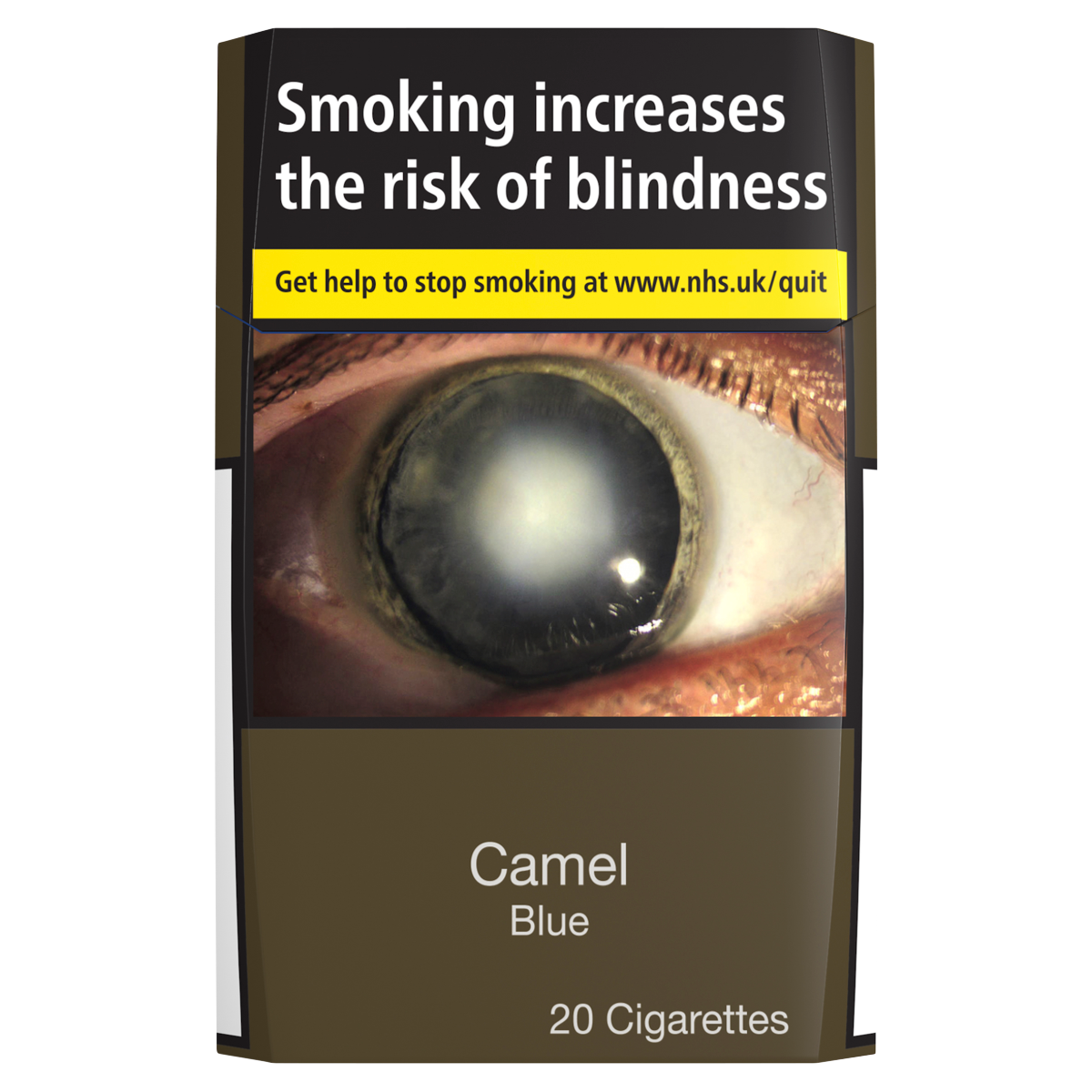 Camel Blue 20 Cigarettes