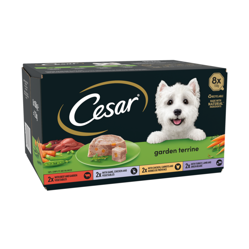 Cesar package