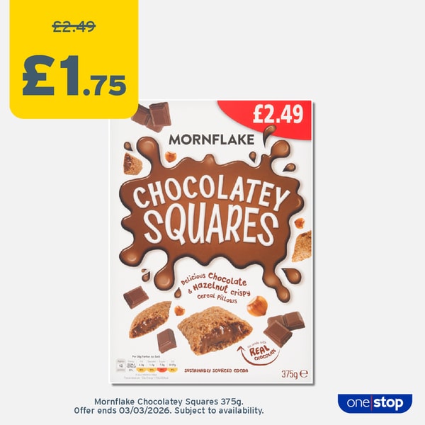 P13C – Chocolatey Squares